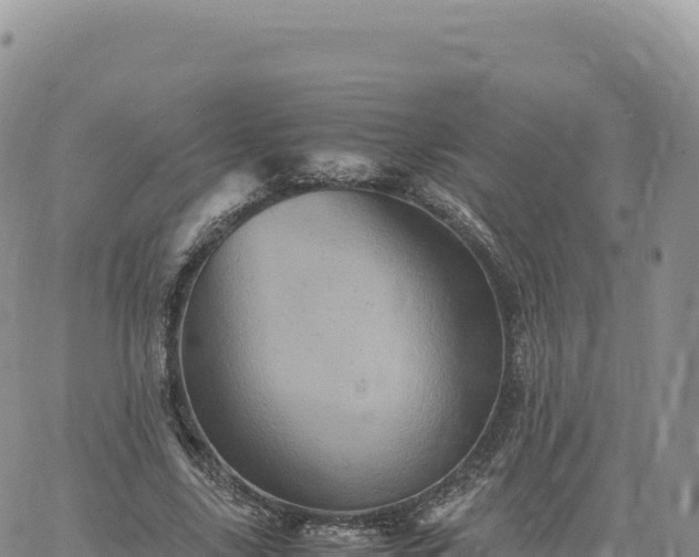 X0000061760635200512091702