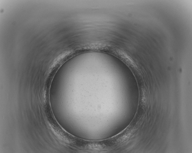 X0000061760636200512091702