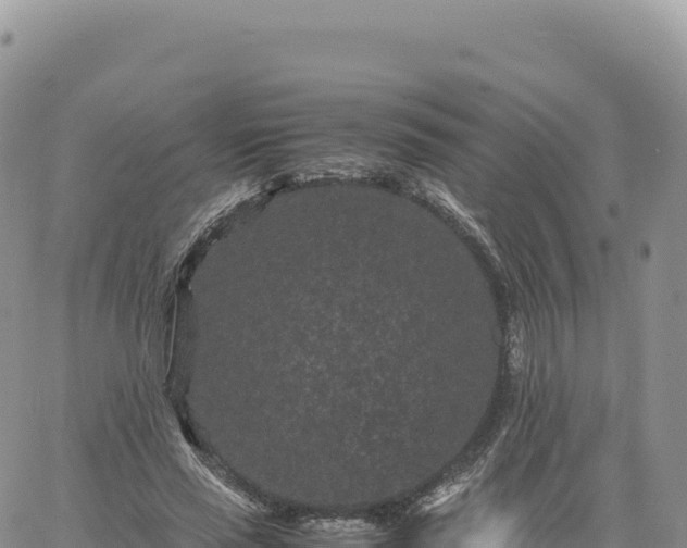 X0000061760637200512091702