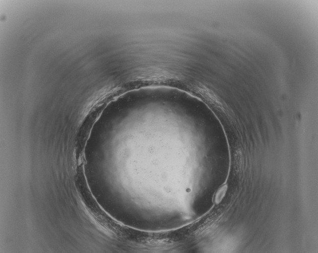 X0000061760638200512091702