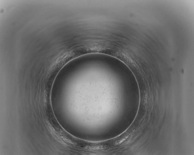 X0000061760639200512091702