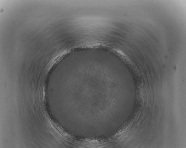 X0000061760640200512091702