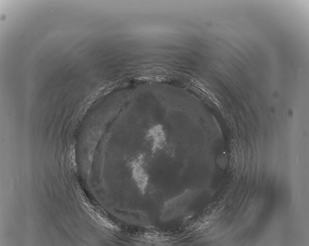 X0000061760641200512091702