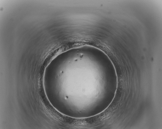 X0000061760642200512091702