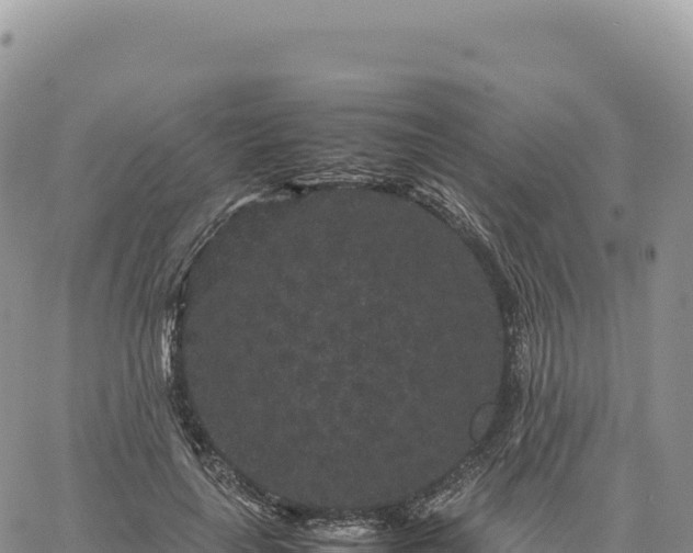 X0000061760643200512091702