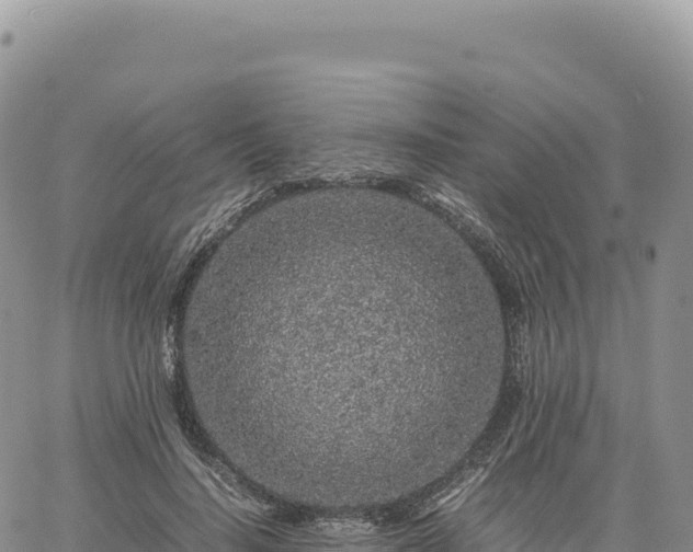 X0000061760644200512091702