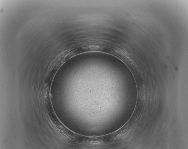 X0000061760645200512091702