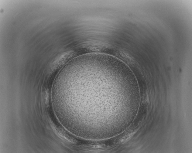 X0000061760646200512091702