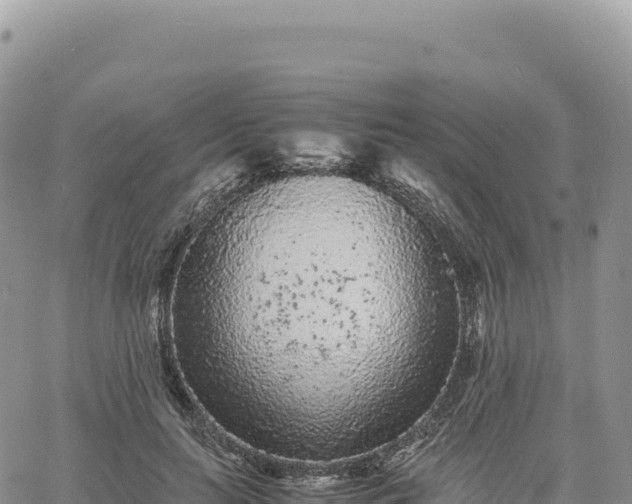 X0000061760647200512091702