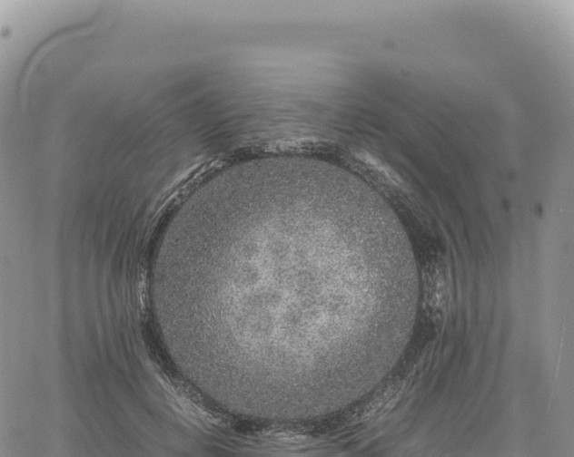 X0000061760648200512091702