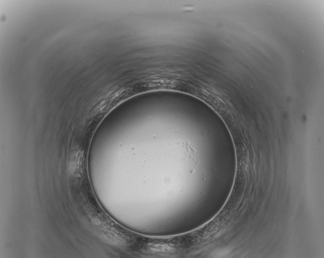 X0000061760649200512091702