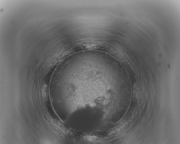 X0000061760650200512091702