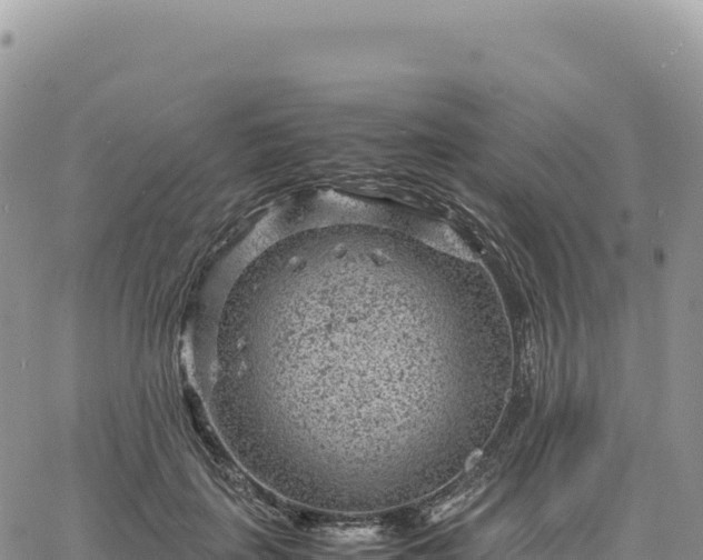 X0000061760651200512091702