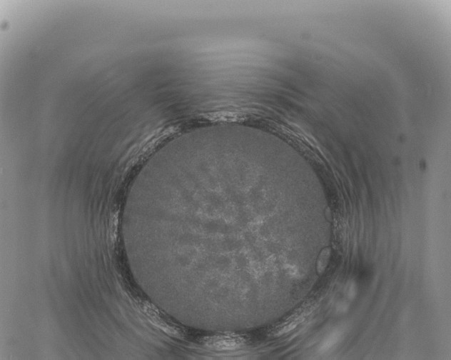 X0000061760652200512091702