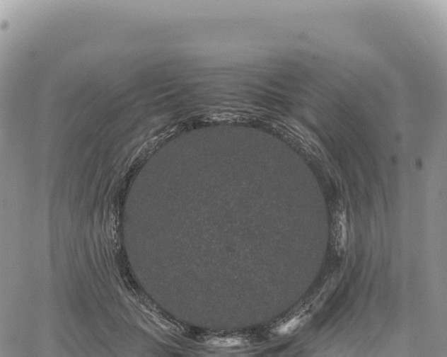 X0000061760653200512091702