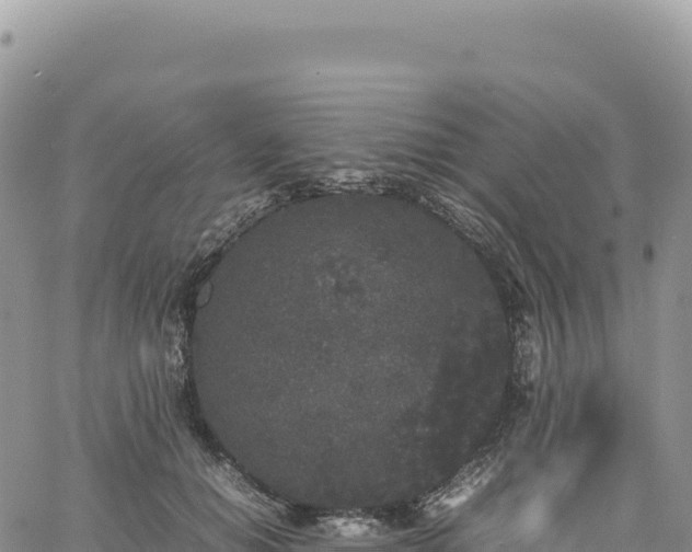 X0000061760654200512091702