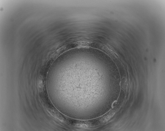 X0000061760655200512091702