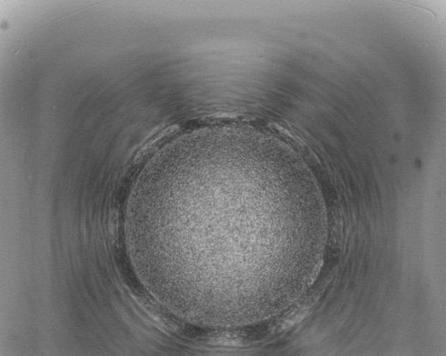 X0000061760656200512091702