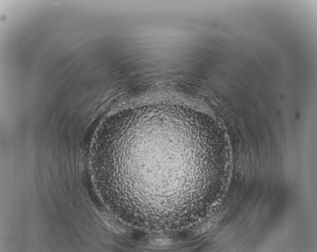 X0000061760658200512091702