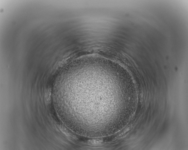 X0000061760660200512091702