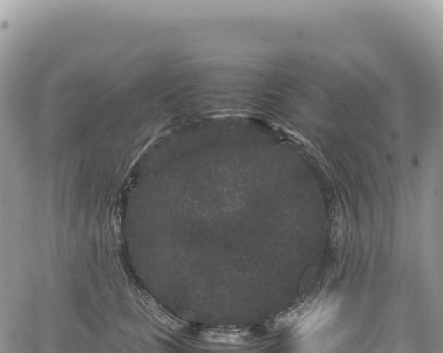 X0000061760661200512091702