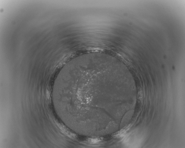 X0000061760662200512091702