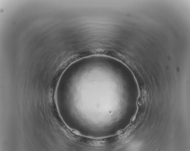 X0000061760664200512091702