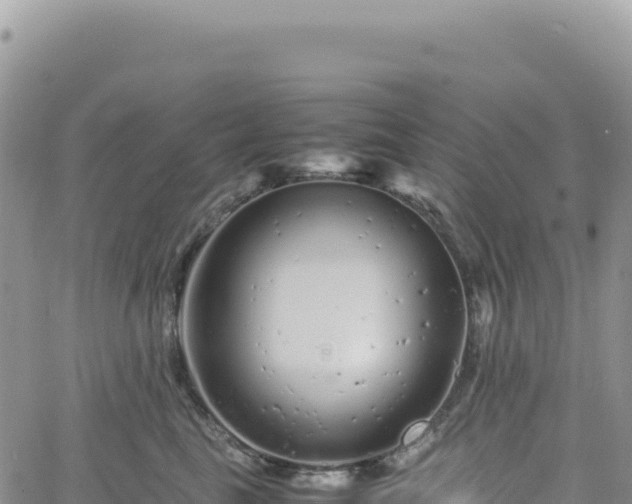 X0000061760665200512091702