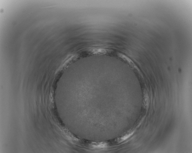 X0000061760667200512091702