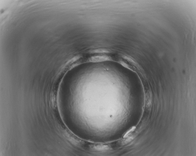 X0000061760669200512091702