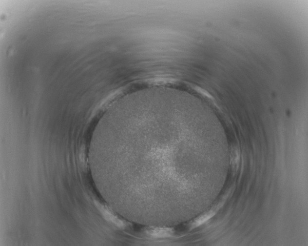 X0000061760670200512091702