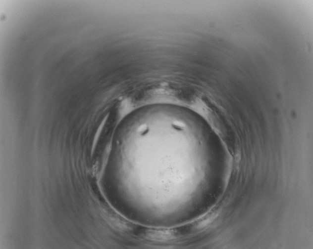 X0000061760671200512091702