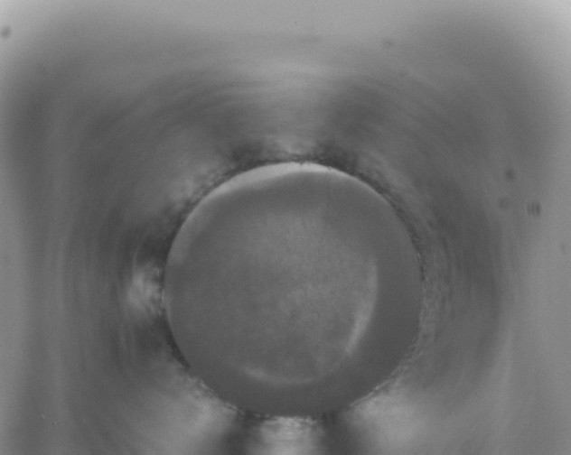 X0000061760672200512091702