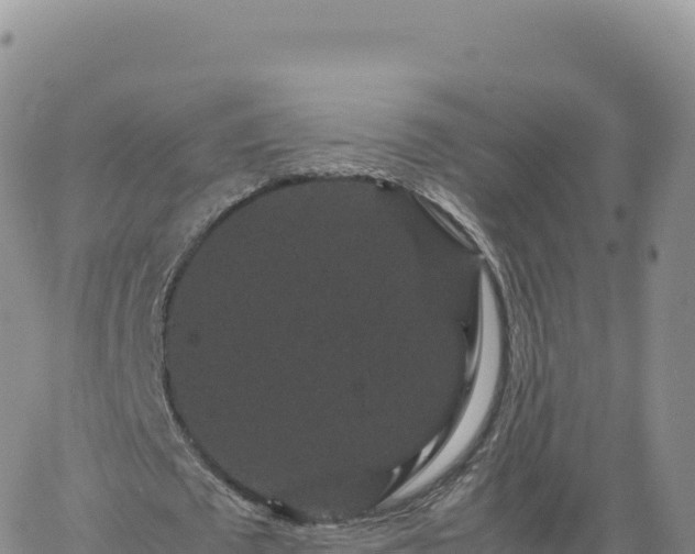 X0000061760673200512091702