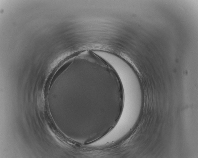 X0000061760674200512091702