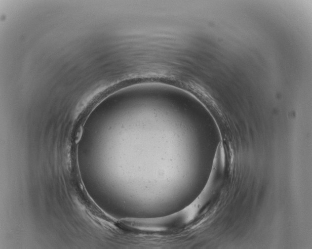 X0000061760676200512091702