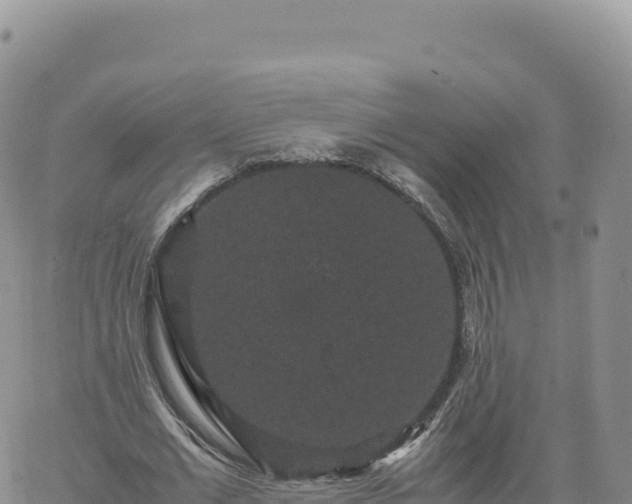 X0000061760677200512091702