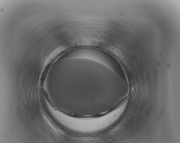 X0000061760678200512091702