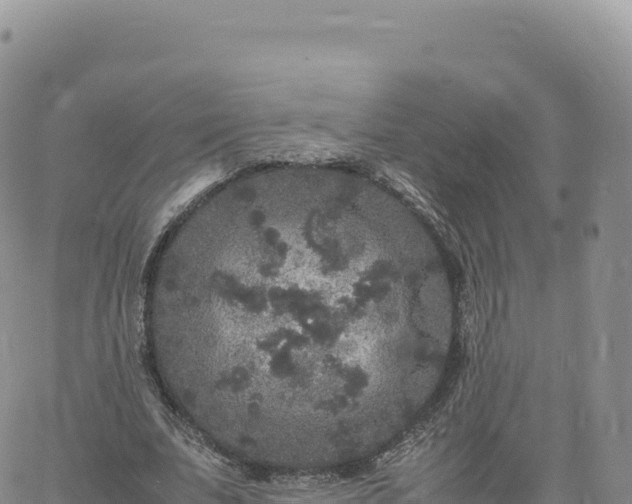 X0000061760679200512091702