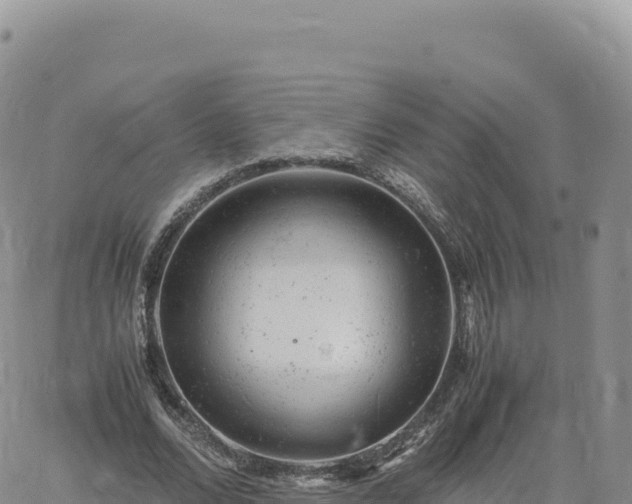 X0000061760680200512091702