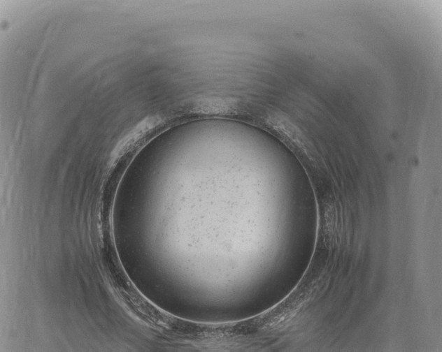 X0000061760682200512091702