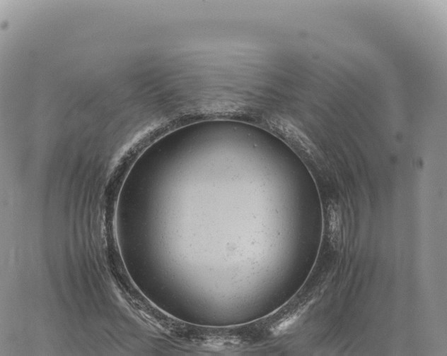 X0000061760684200512091701