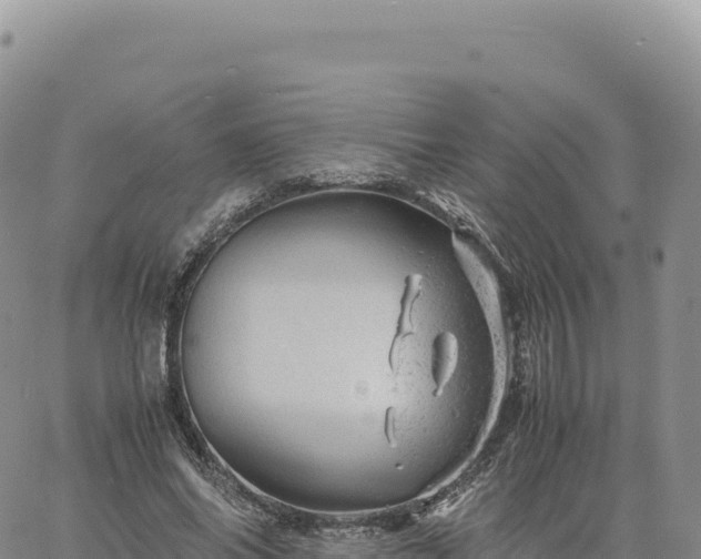 X0000061760686200512091701