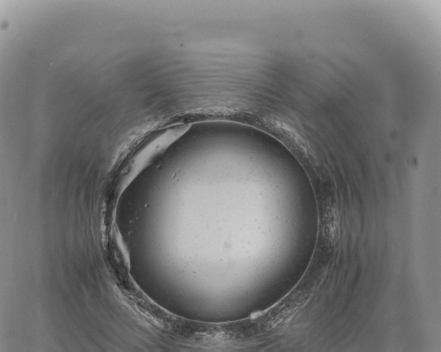 X0000061760688200512091701