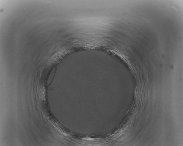 X0000061760689200512091701