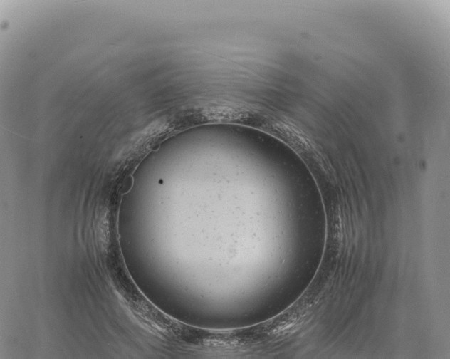 X0000061760690200512091701