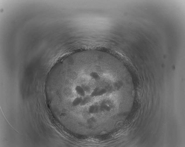 X0000061760691200512091701