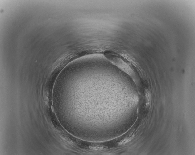 X0000061760693200512091701