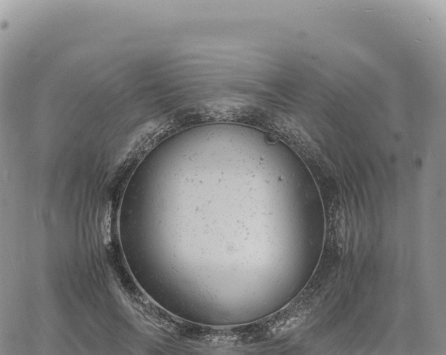 X0000061760694200512091701