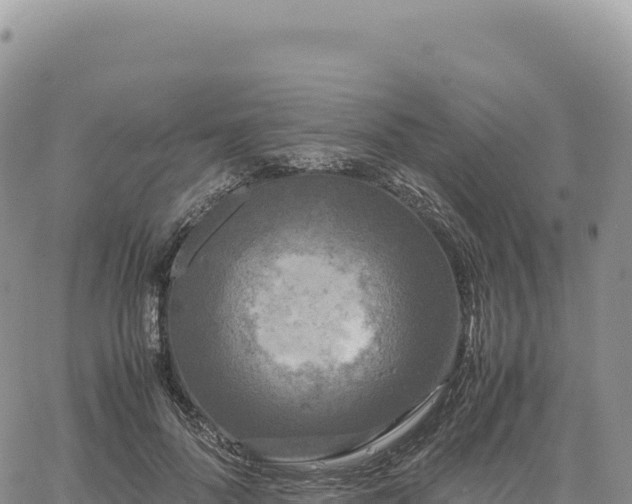 X0000061760696200512091701